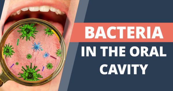 Bacteria in the oral cavity